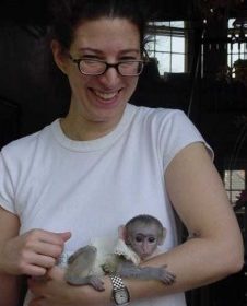 Trained and Adorable and Sweet Marmoset Monkeys