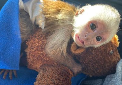 WhatsApp-Image-2023-06-30-at-12.07.18-1