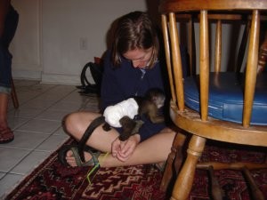 2 Capuchin Monkeys for Adoption