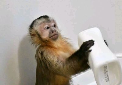 IMG-20221020-WA0004-1