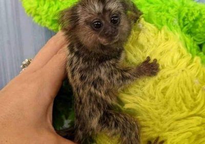 ad-fb-img-1637624008633-jpg-2jfq