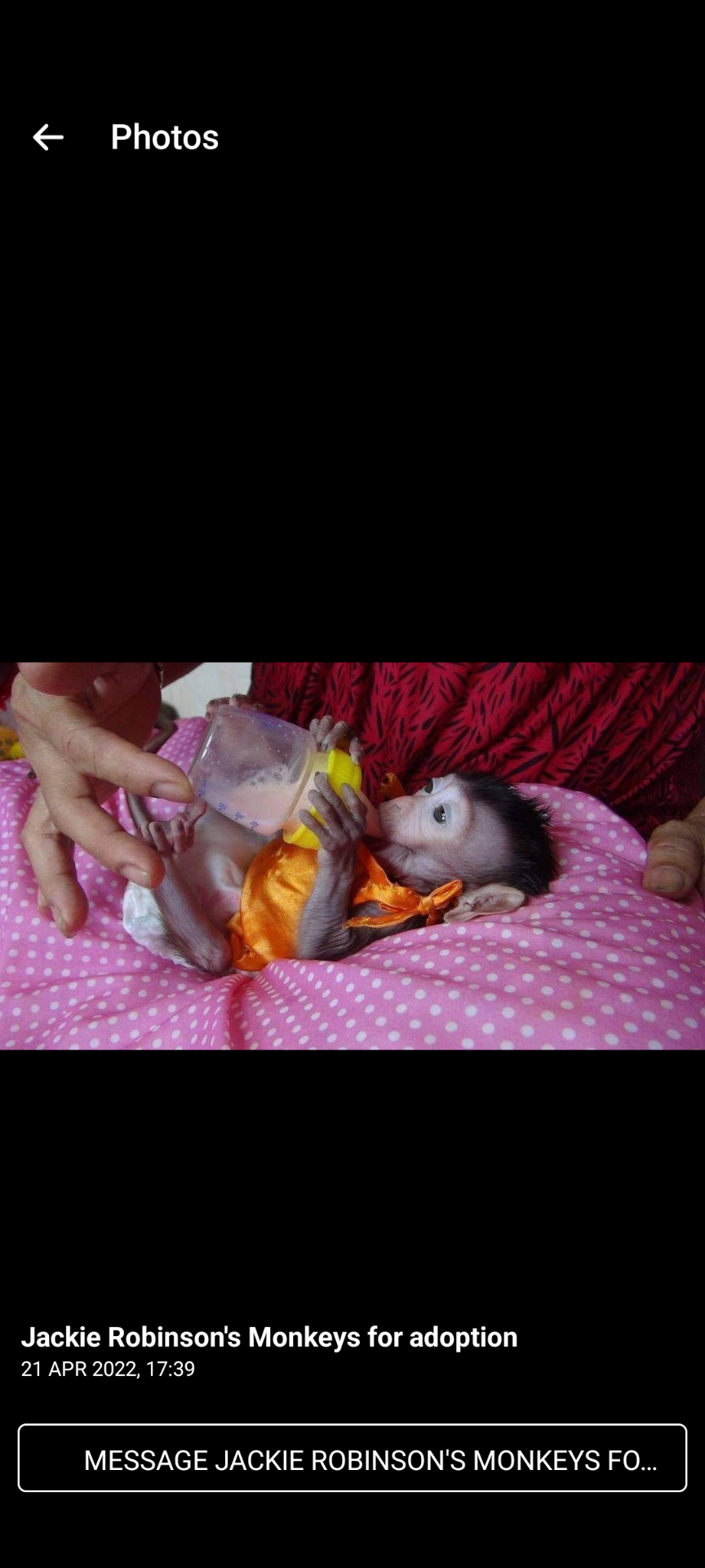 Amazing Potty Trained Capuchin Monkeys