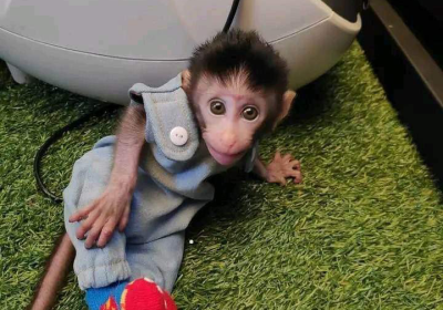 8B188231-D022-4AA8-89E4-36BFBB710AD4