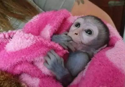 8F64709A-E507-42DA-AC50-49A765B21D3D