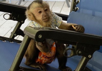 BA2007DE-052F-4ED6-A8F4-73D6600D4A39