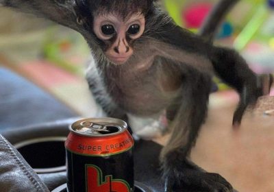 FB_IMG_1714053052101