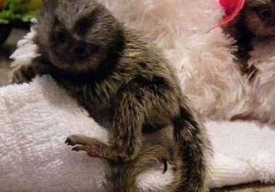 IMG_20240103_164554_059