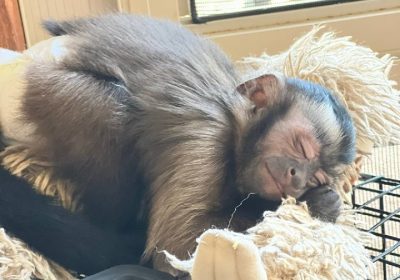 IMG_20240406_230320_258