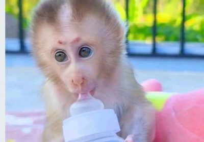 9277ECEF-13E8-4A9A-804D-B58375913B20