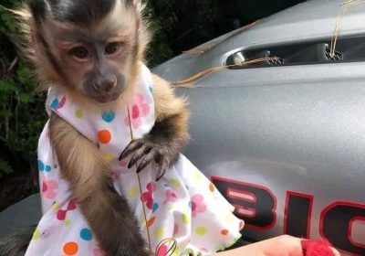 D94B467B-1658-40BE-92F0-D86610FD6602