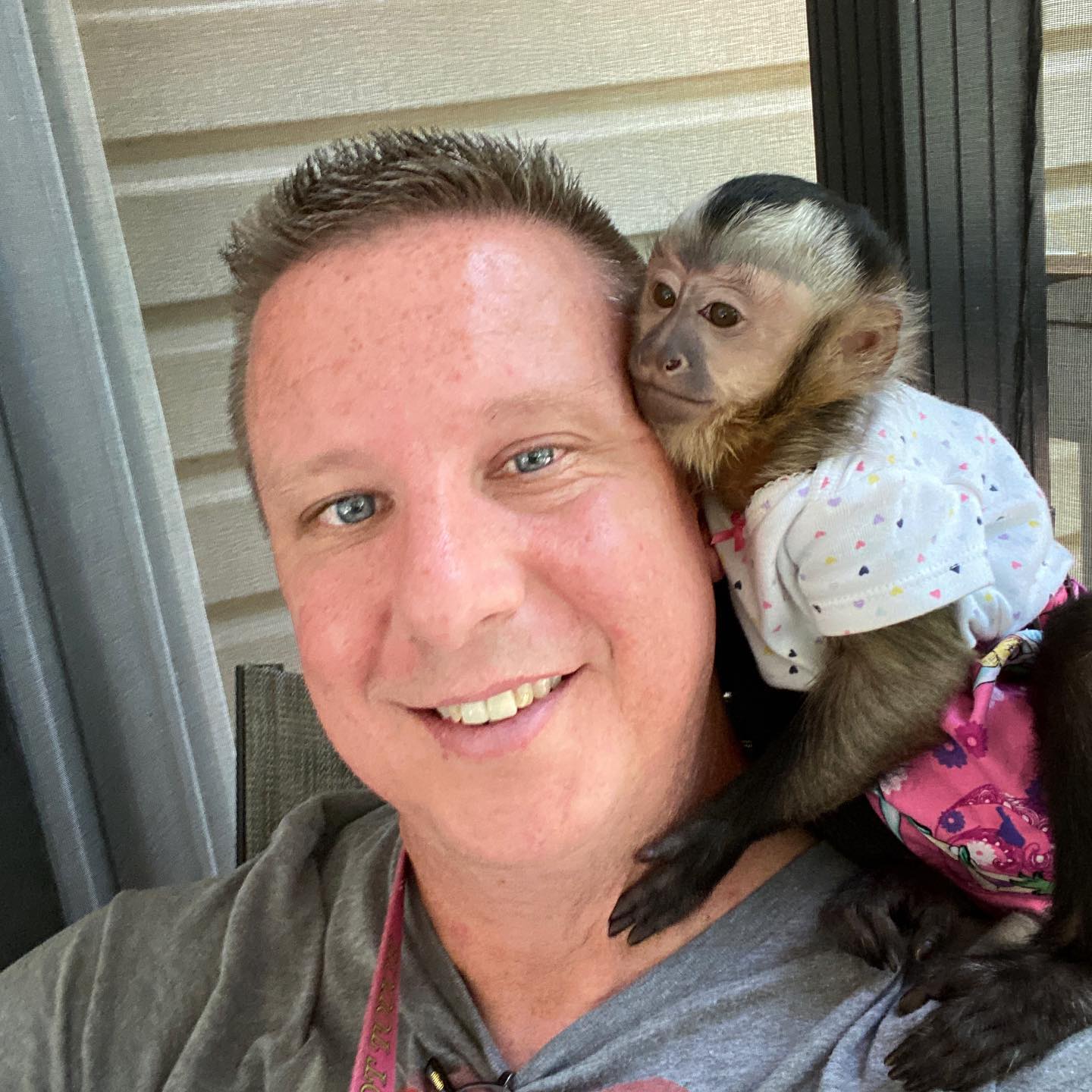 Top Quality Baby Capuchin Monkeys WhatsApp us ONLY +44740-4341-894