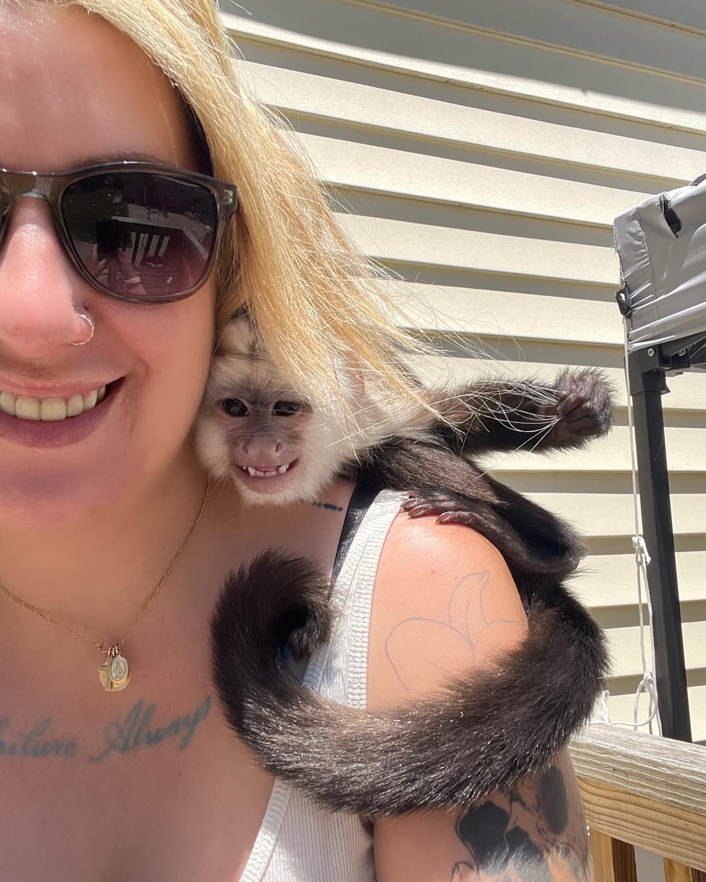 Male and Female Tamed Capuchin Monkeys Whats App us ONLY +44740-4341-894