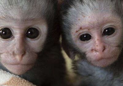 Screenshot_20241114_230411_Instagram