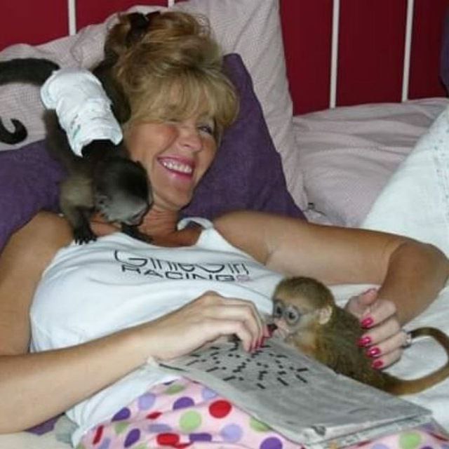 Capuchin monkey for sale WhatsApp me ++447393160284