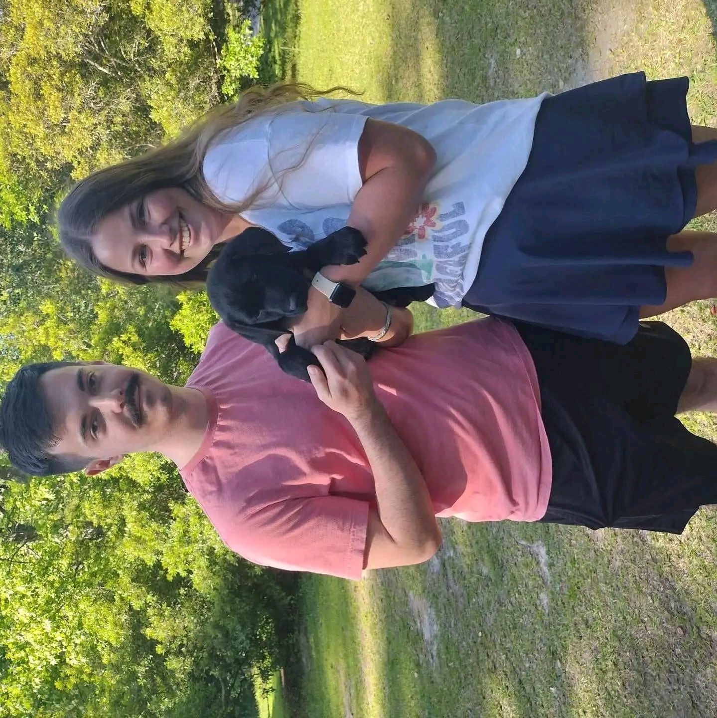 labrador retrievers