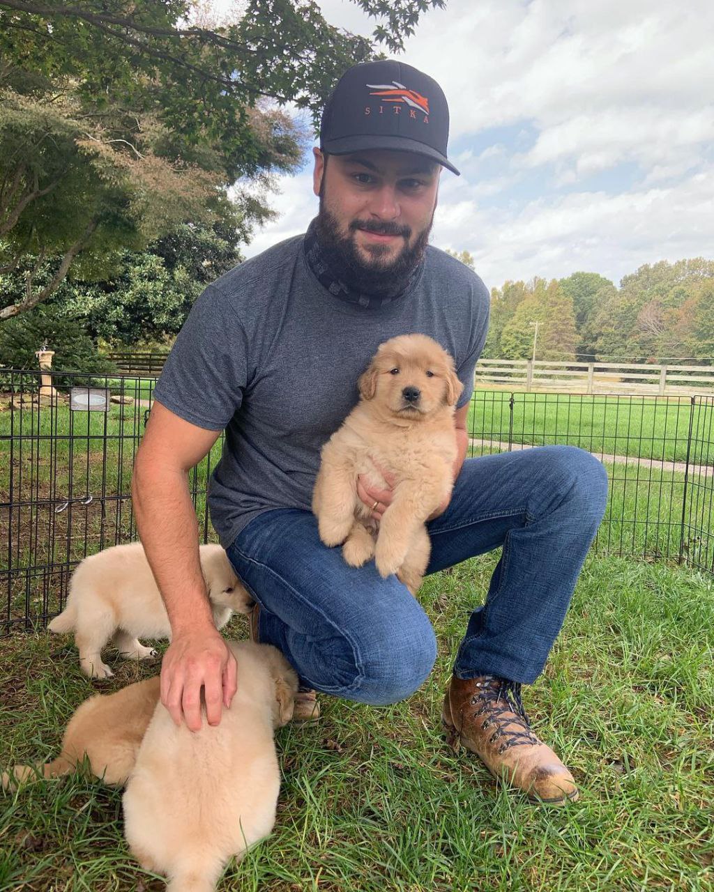 Outstanding Golden Retriever puppies available to go into pet loving families