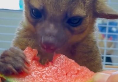 WhatsApp-Image-2025-10-21-at-07.28.35