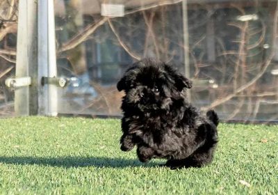 IMG_20251116_041341_491