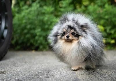 IMG_20251116_041729_014