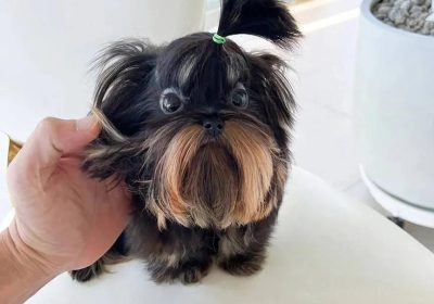 IMG_20251116_042242_481