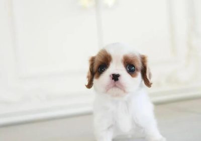 IMG_20251116_042309_999