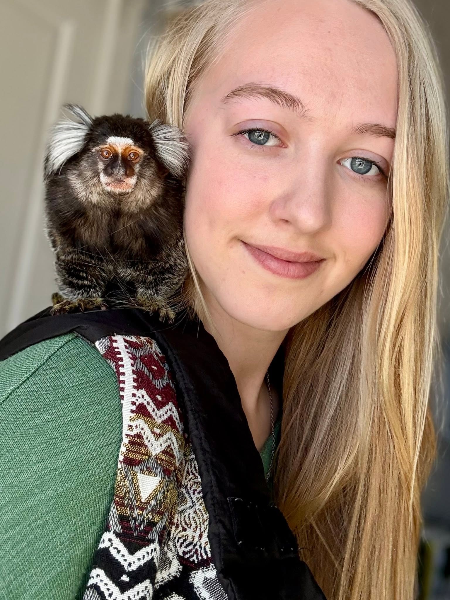Marmosets babies available